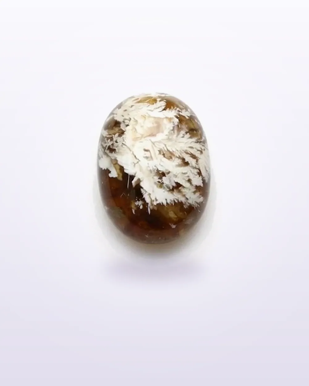 Moss Agate – 44.90 ct, Oval from Pakistan